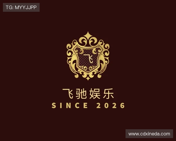 解读飞驰娱乐